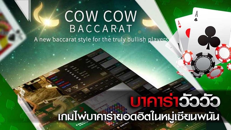 การเดิมพันของบาคาร่าวัววัว